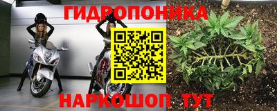 индика Бузулук