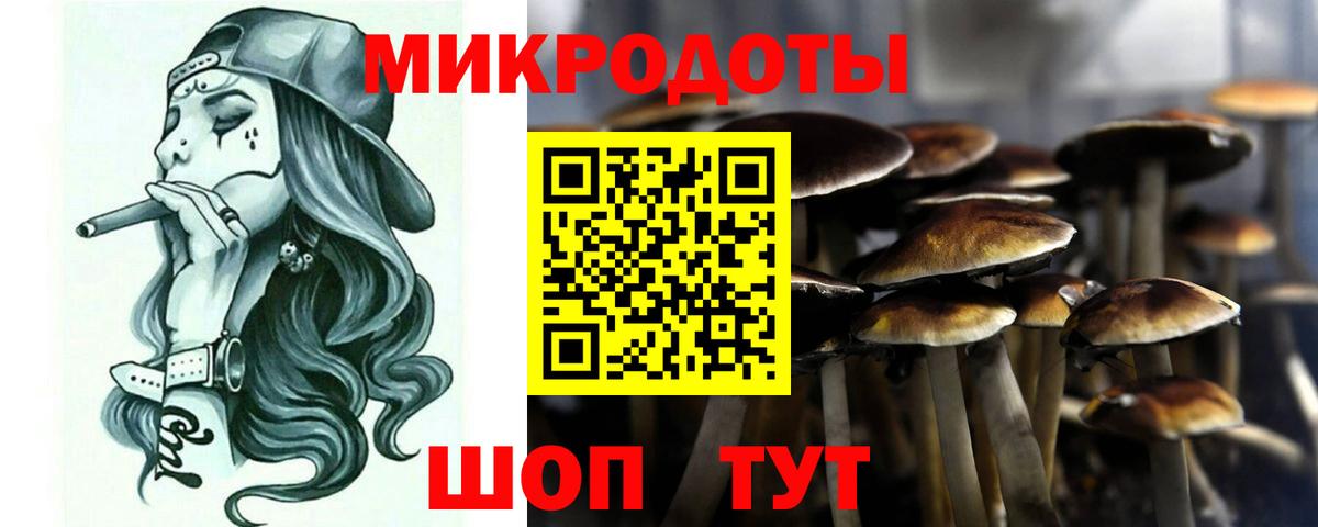 Псилоцибиновые грибы Cubensis  Псилоцибиновые грибы Psilocybe  Лиски  цены   Вход с VPN 